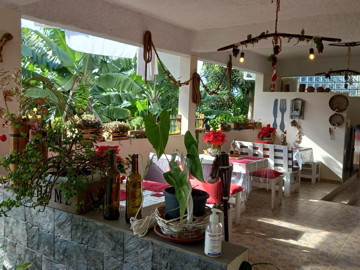 Tabua Village Ribeira Brava Exterior foto